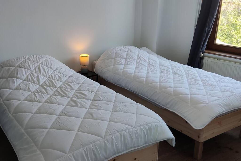 Maison Ronchin/Lille - Proche Toutes Commodites Екстер'єр фото